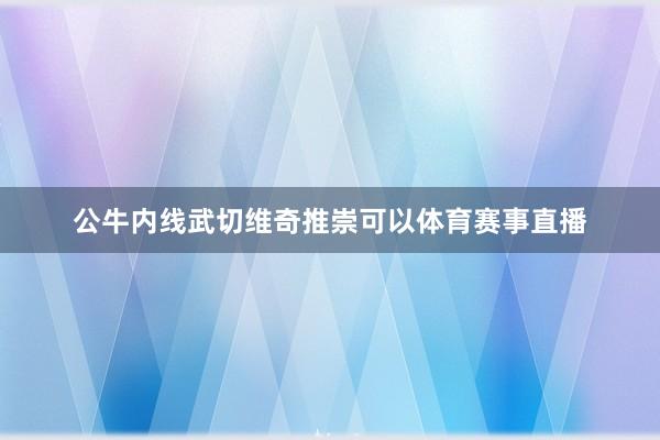 公牛内线武切维奇推崇可以体育赛事直播