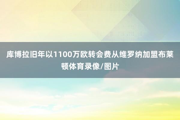 库博拉旧年以1100万欧转会费从维罗纳加盟布莱顿体育录像/图片