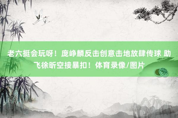 老六挺会玩呀！庞峥麟反击创意击地放肆传球 助飞徐昕空接暴扣！体育录像/图片