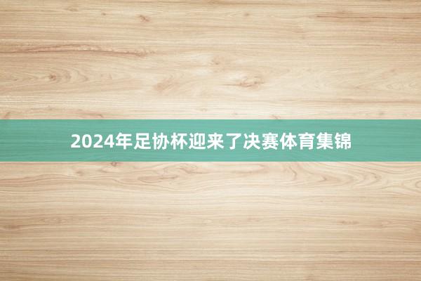 2024年足协杯迎来了决赛体育集锦