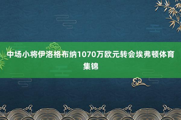 中场小将伊洛格布纳1070万欧元转会埃弗顿体育集锦