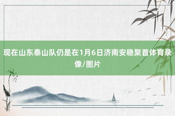 现在山东泰山队仍是在1月6日济南安稳聚首体育录像/图片