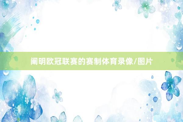 阐明欧冠联赛的赛制体育录像/图片