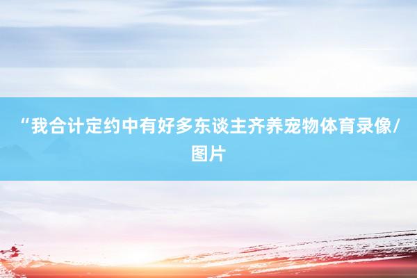 “我合计定约中有好多东谈主齐养宠物体育录像/图片