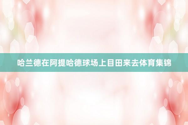 哈兰德在阿提哈德球场上目田来去体育集锦