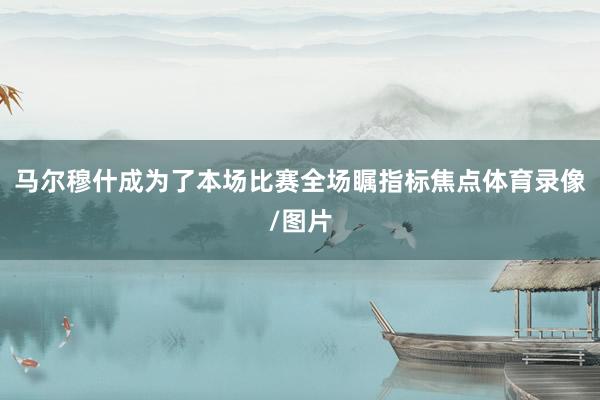马尔穆什成为了本场比赛全场瞩指标焦点体育录像/图片