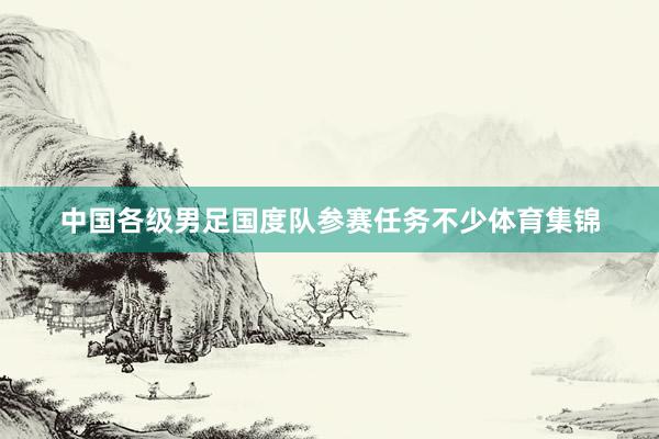中国各级男足国度队参赛任务不少体育集锦