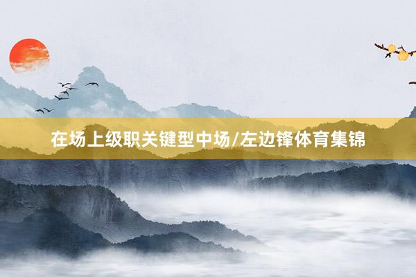 在场上级职关键型中场/左边锋体育集锦