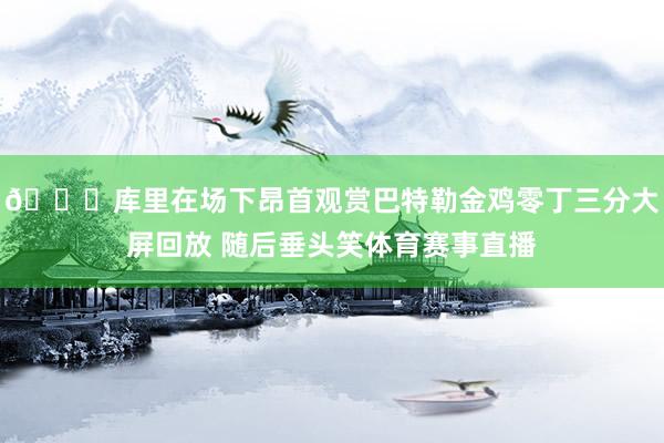 😂库里在场下昂首观赏巴特勒金鸡零丁三分大屏回放 随后垂头笑体育赛事直播