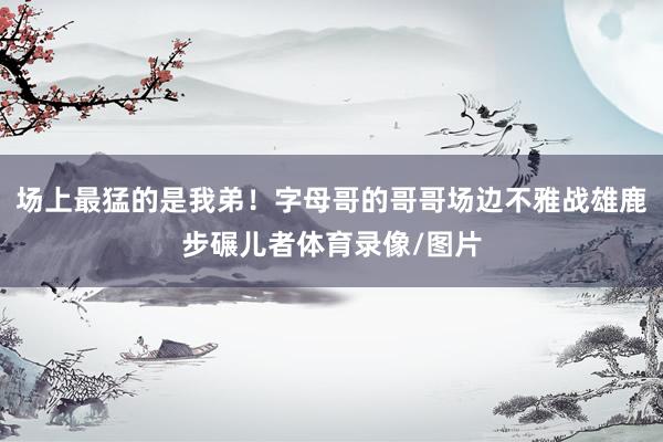场上最猛的是我弟！字母哥的哥哥场边不雅战雄鹿步碾儿者体育录像/图片