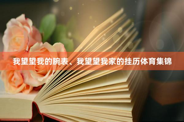 我望望我的腕表、我望望我家的挂历体育集锦