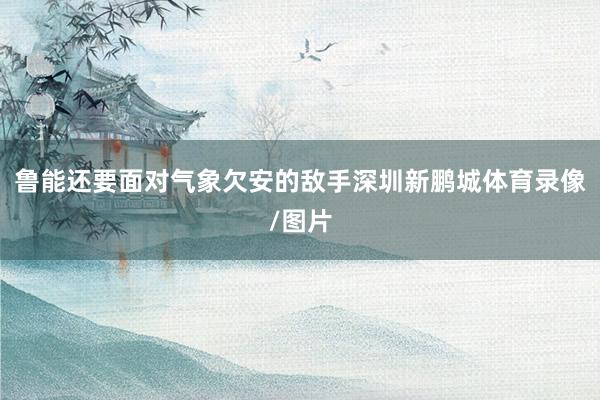鲁能还要面对气象欠安的敌手深圳新鹏城体育录像/图片