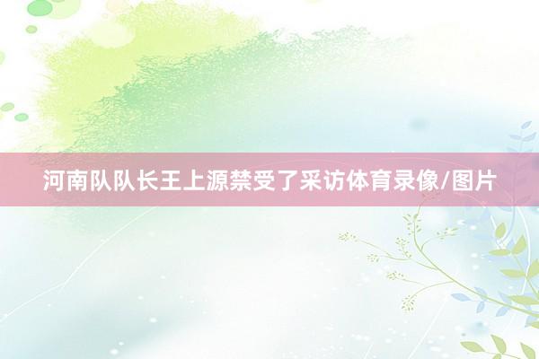河南队队长王上源禁受了采访体育录像/图片