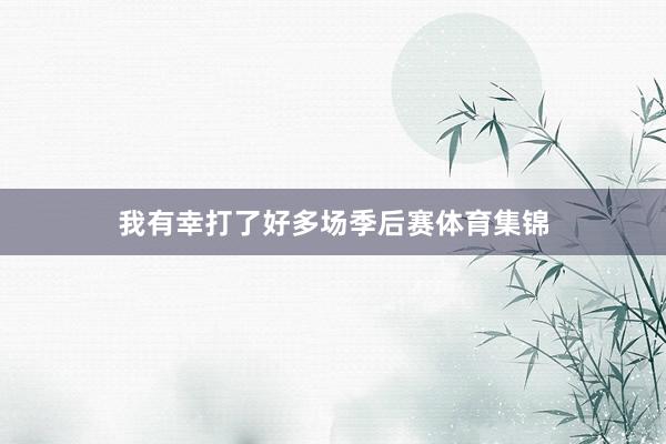 我有幸打了好多场季后赛体育集锦