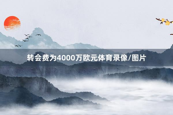 转会费为4000万欧元体育录像/图片