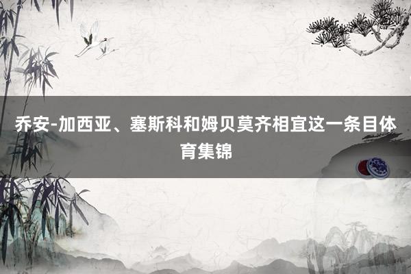 乔安-加西亚、塞斯科和姆贝莫齐相宜这一条目体育集锦