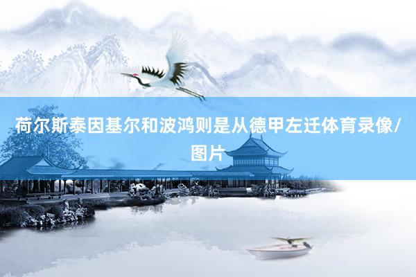 荷尔斯泰因基尔和波鸿则是从德甲左迁体育录像/图片