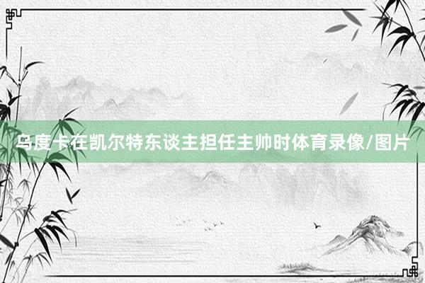 乌度卡在凯尔特东谈主担任主帅时体育录像/图片