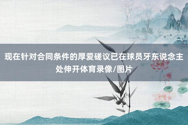 现在针对合同条件的厚爱磋议已在球员牙东说念主处伸开体育录像/图片