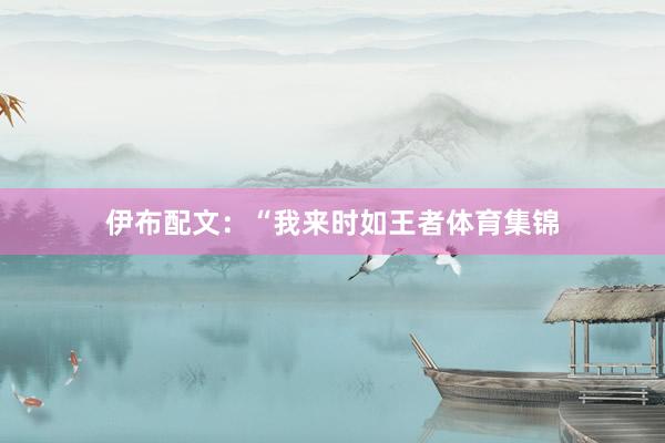 伊布配文:“我来时如王者体育集锦