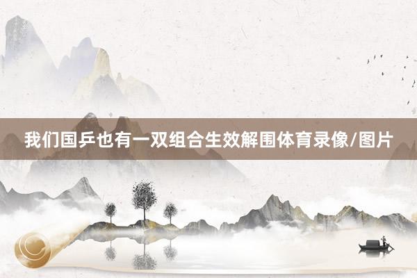 我们国乒也有一双组合生效解围体育录像/图片