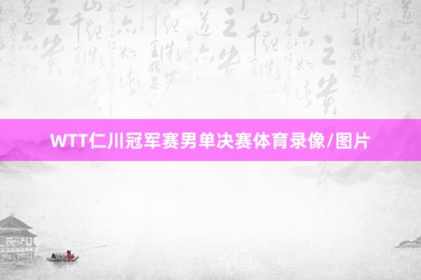 WTT仁川冠军赛男单决赛体育录像/图片