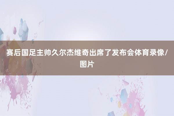 赛后国足主帅久尔杰维奇出席了发布会体育录像/图片