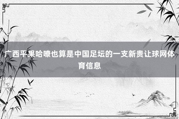 广西平果哈嘹也算是中国足坛的一支新贵让球网体育信息