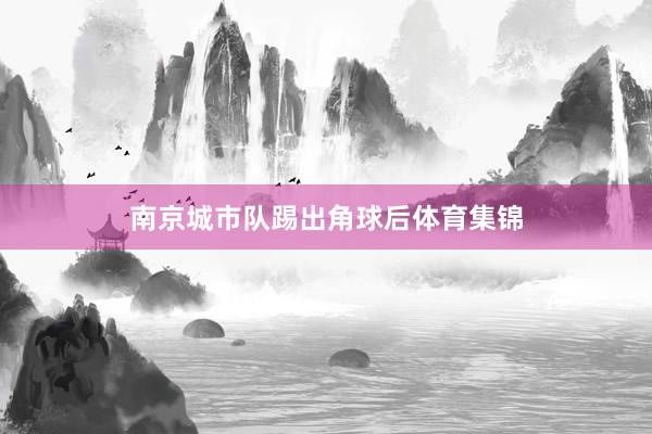 南京城市队踢出角球后体育集锦