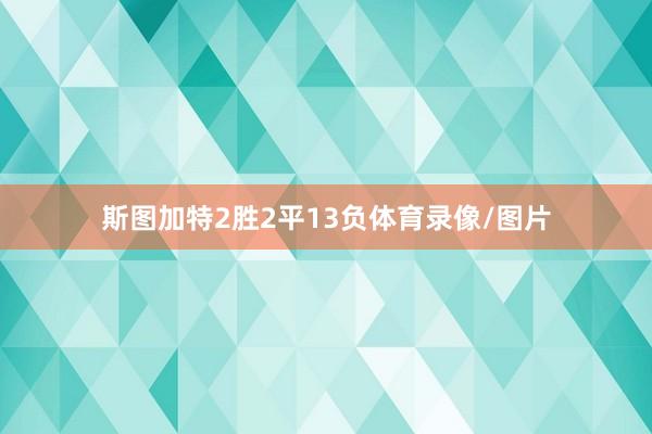 斯图加特2胜2平13负体育录像/图片