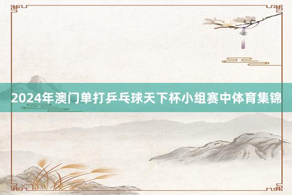 2024年澳门单打乒乓球天下杯小组赛中体育集锦