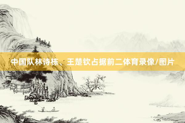 中国队林诗栋、王楚钦占据前二体育录像/图片