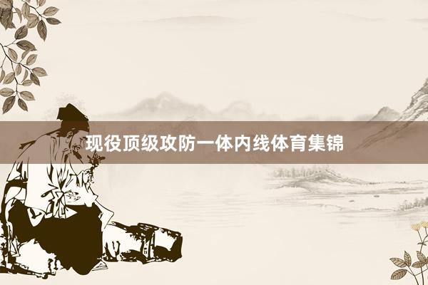 现役顶级攻防一体内线体育集锦