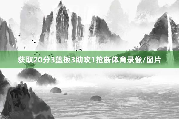 获取20分3篮板3助攻1抢断体育录像/图片
