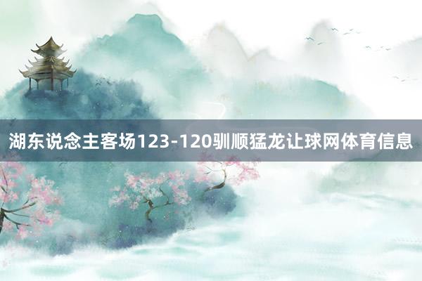 湖东说念主客场123-120驯顺猛龙让球网体育信息