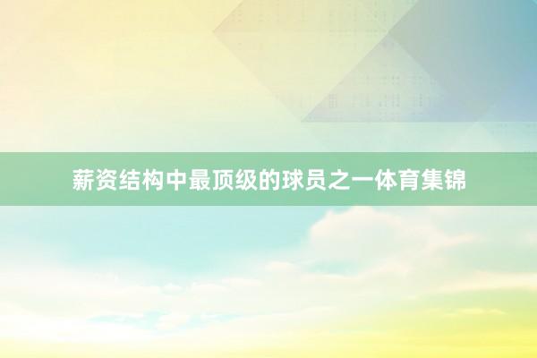 薪资结构中最顶级的球员之一体育集锦