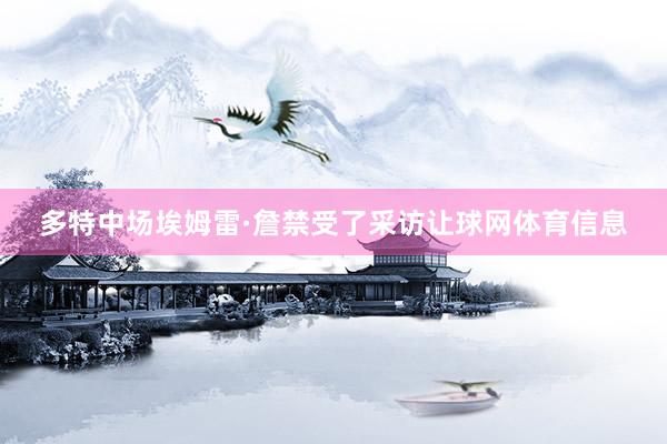 多特中场埃姆雷·詹禁受了采访让球网体育信息