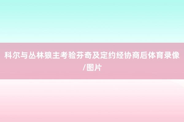 科尔与丛林狼主考验芬奇及定约经协商后体育录像/图片