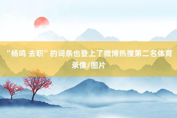 “杨鸣 去职”的词条也登上了微博热搜第二名体育录像/图片