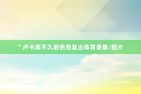 ”卢卡库不久前伤愈复出体育录像/图片