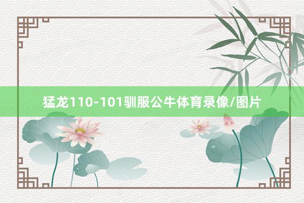 猛龙110-101驯服公牛体育录像/图片