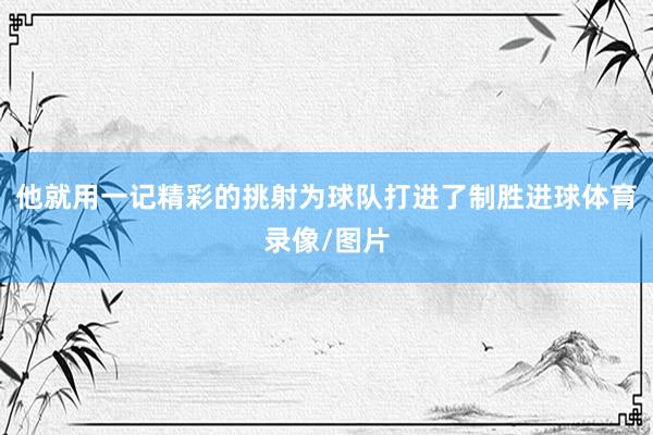 他就用一记精彩的挑射为球队打进了制胜进球体育录像/图片