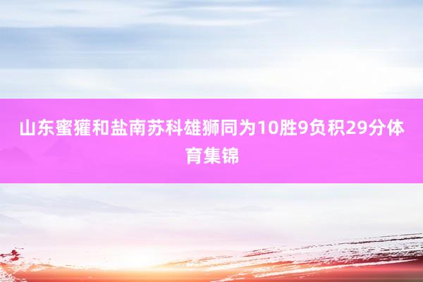 山东蜜獾和盐南苏科雄狮同为10胜9负积29分体育集锦
