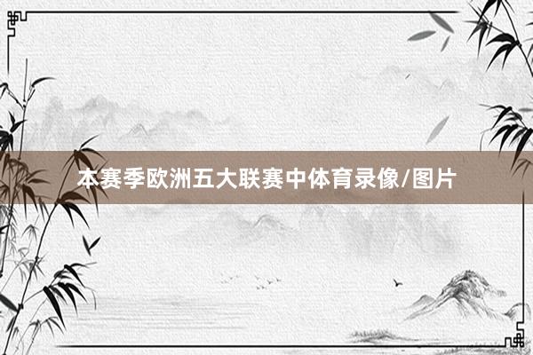 本赛季欧洲五大联赛中体育录像/图片