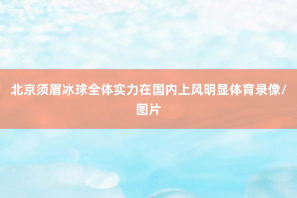 北京须眉冰球全体实力在国内上风明显体育录像/图片