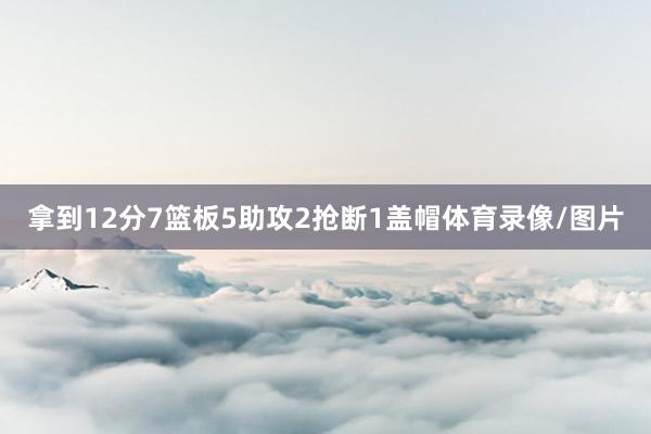 拿到12分7篮板5助攻2抢断1盖帽体育录像/图片