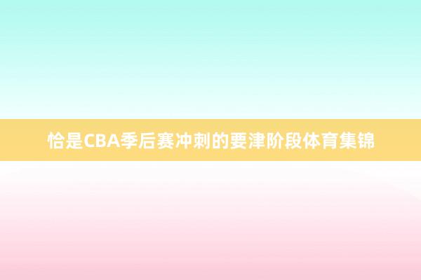 恰是CBA季后赛冲刺的要津阶段体育集锦