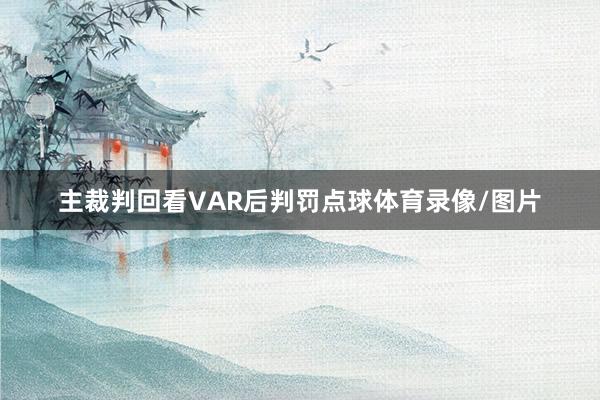主裁判回看VAR后判罚点球体育录像/图片