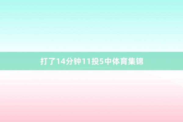打了14分钟11投5中体育集锦