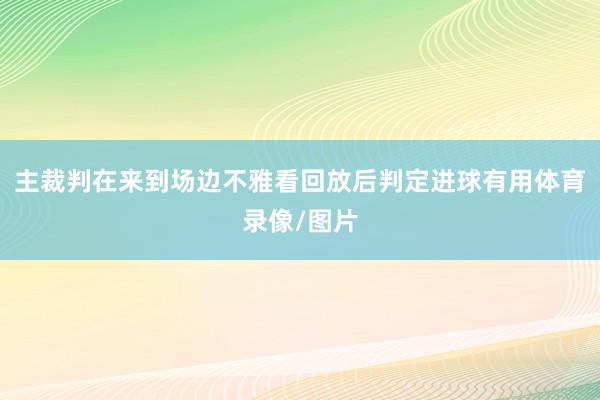 主裁判在来到场边不雅看回放后判定进球有用体育录像/图片